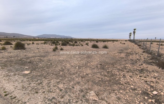 Revente - Land - Yecla - Inland