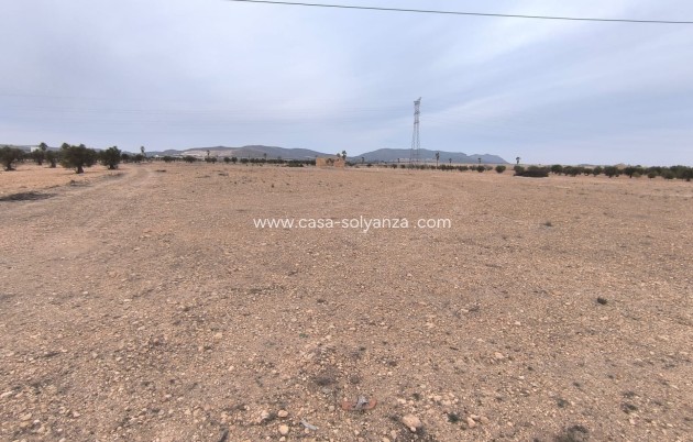 Revente - Land - Yecla - Inland