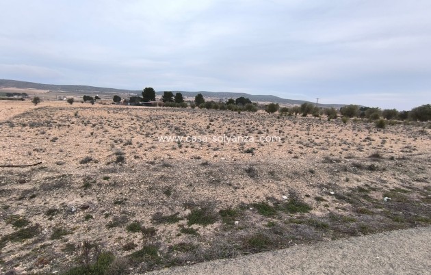 Revente - Land - Yecla - Inland