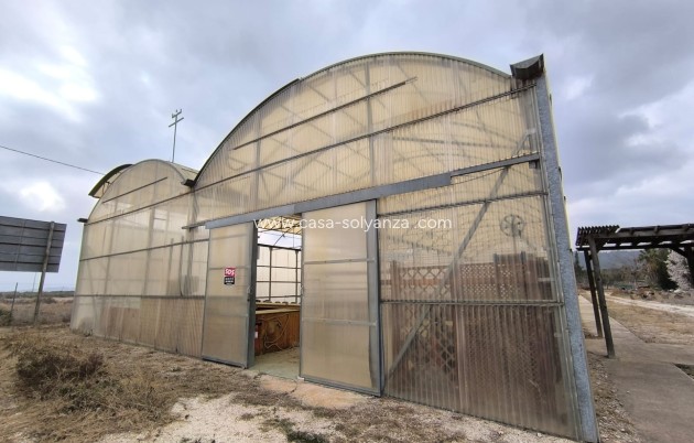 Revente - Commercial - Aspe - Inland