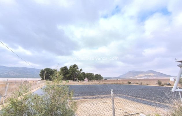 Revente - Commercial - Aspe - Inland