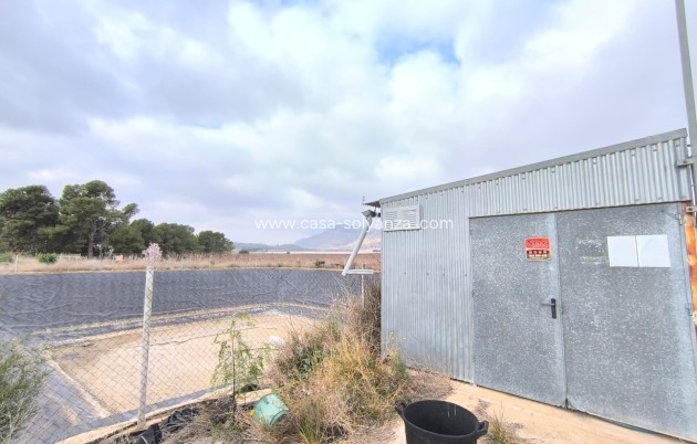 Revente - Commercial - Aspe - Inland