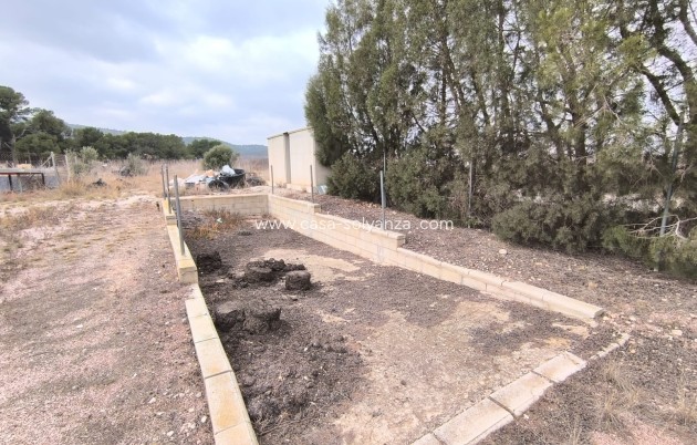 Revente - Commercial - Aspe - Inland