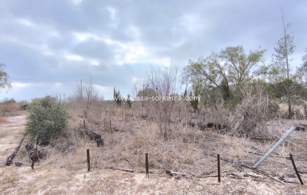 Revente - Commercial - Aspe - Inland