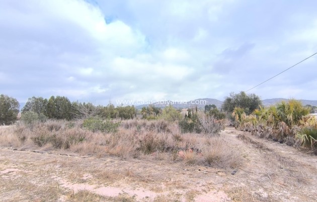 Revente - Commercial - Aspe - Inland