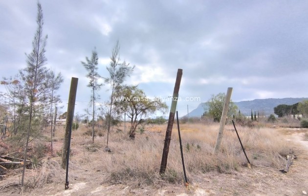 Revente - Commercial - Aspe - Inland