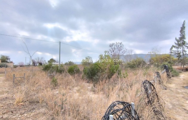 Revente - Commercial - Aspe - Inland