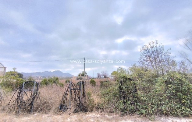 Revente - Commercial - Aspe - Inland