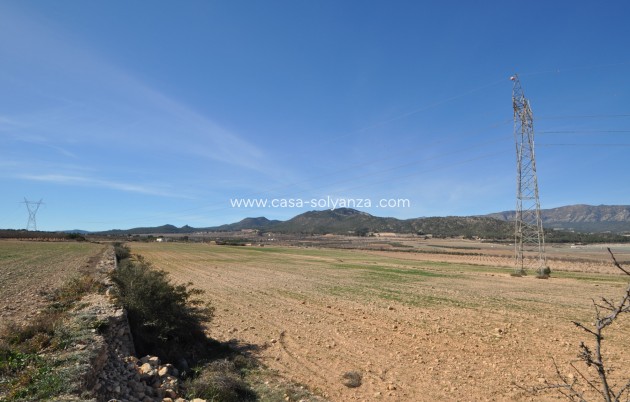 Revente - Land - Salinas - Inland