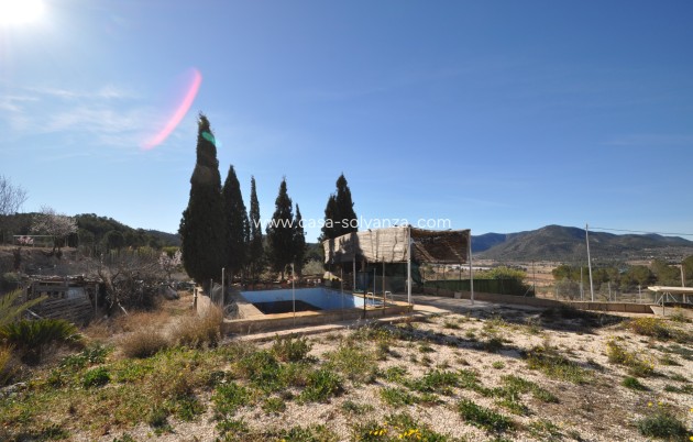 Revente - Country Property/Finca - Monóvar - Inland