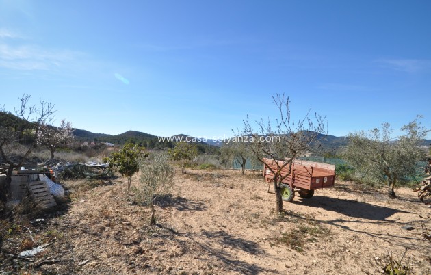 Revente - Country Property/Finca - Monóvar - Inland