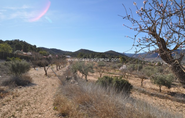 Revente - Country Property/Finca - Monóvar - Inland