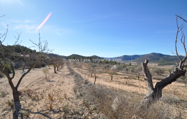 Revente - Country Property/Finca - Monóvar - Inland