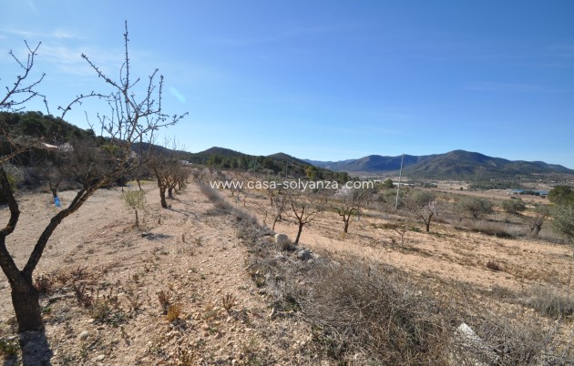 Revente - Country Property/Finca - Monóvar - Inland