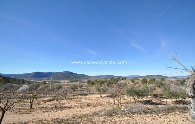 Revente - Country Property/Finca - Monóvar - Inland