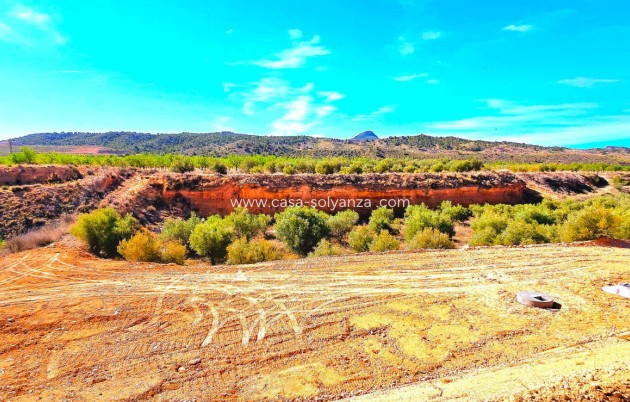 Revente - Villa - Macisvenda - Inland