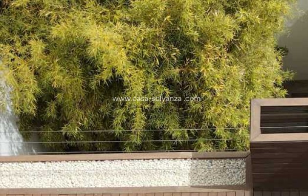 Revente - Appartement - Almoradí - Costa Blanca