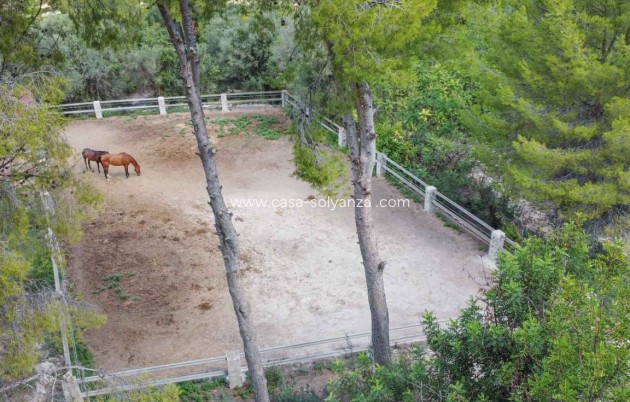 Revente - Commercial - Orba - Inland