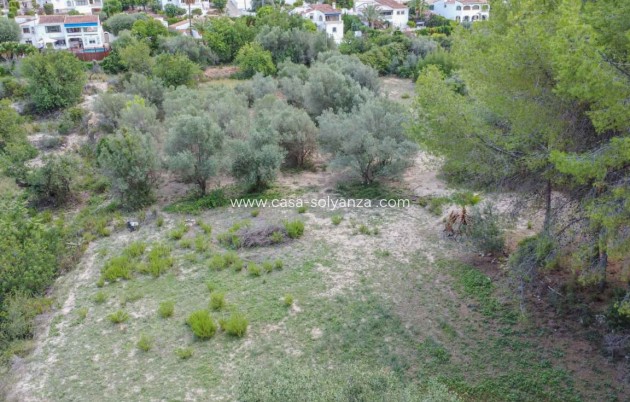 Revente - Commercial - Orba - Inland