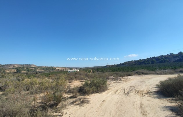 Wiederverkauf - Country Property/Finca - Torremendo