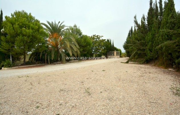Revente - Country Property/Finca - Almoradí - Inland