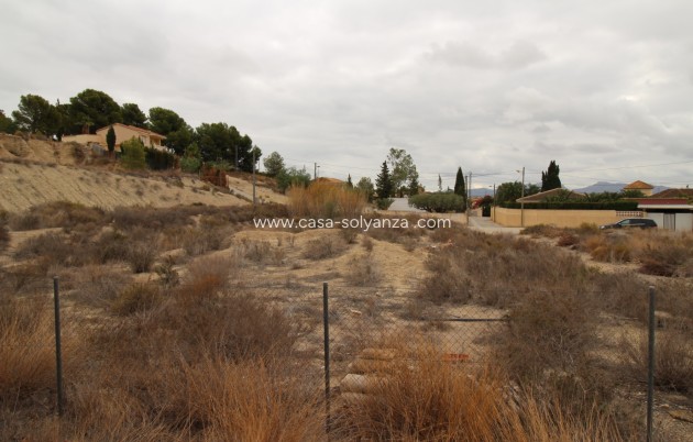 Revente - Villa - Fortuna - Inland