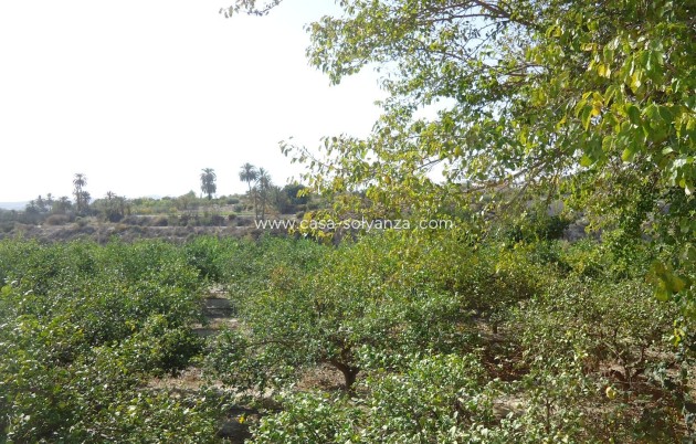 Revente - Villa - Abanilla - Inland