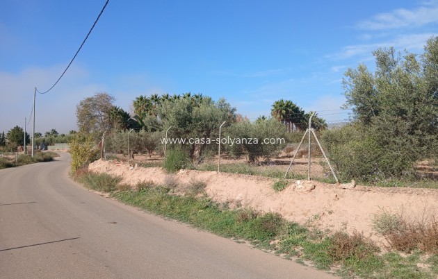 Revente - Country Property/Finca - Jumilla - Inland