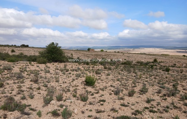 Revente - Land - Yecla - Inland