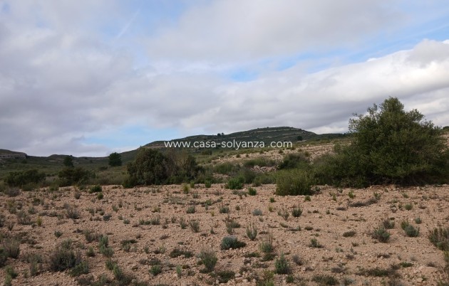 Revente - Land - Yecla - Inland