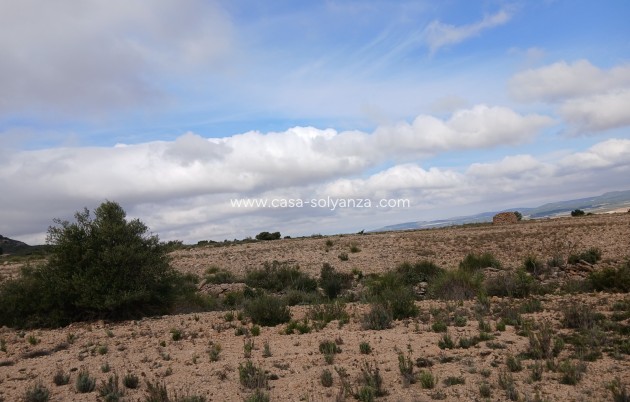 Revente - Land - Yecla - Inland