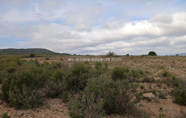 Revente - Land - Yecla - Inland