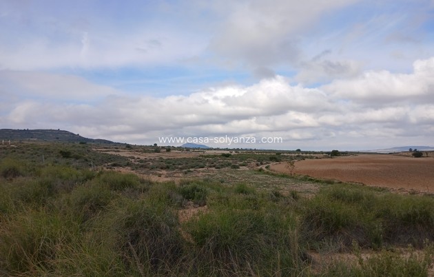 Revente - Land - Yecla - Inland