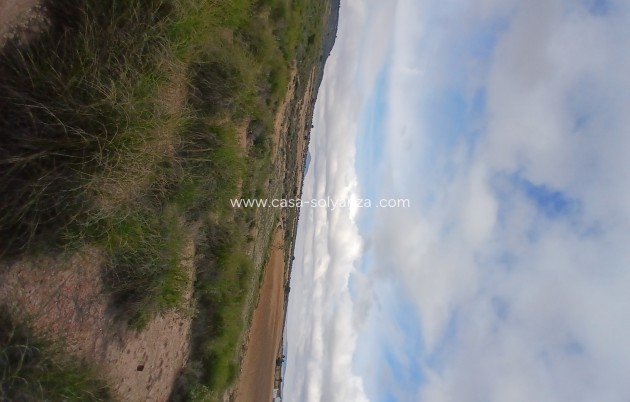 Revente - Land - Yecla - Inland