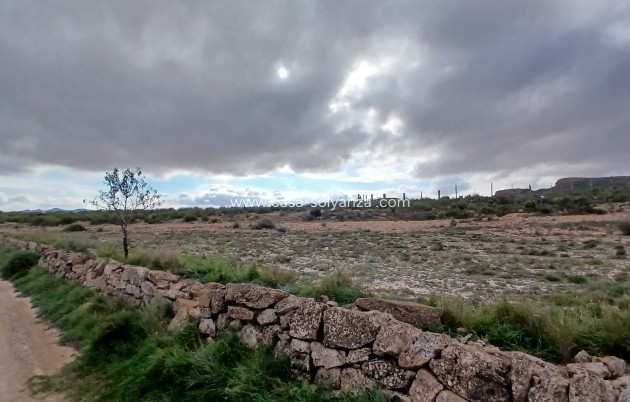 Revente - Land - Yecla - Inland