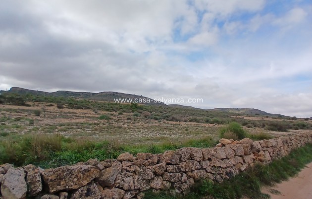 Revente - Land - Yecla - Inland