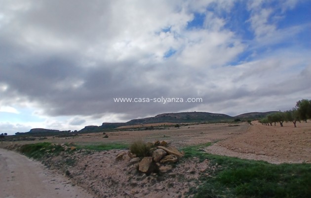 Revente - Land - Yecla - Inland