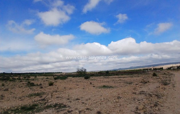 Revente - Land - Yecla - Inland