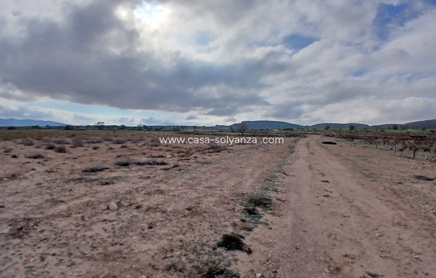 Revente - Land - Yecla - Inland