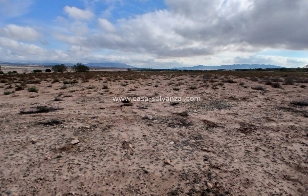 Revente - Land - Yecla - Inland