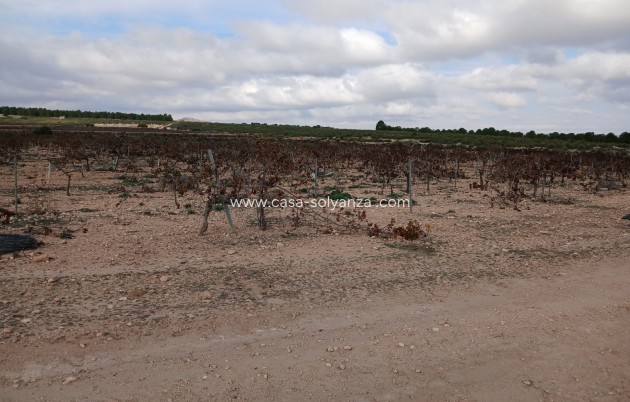 Revente - Land - Yecla - Inland