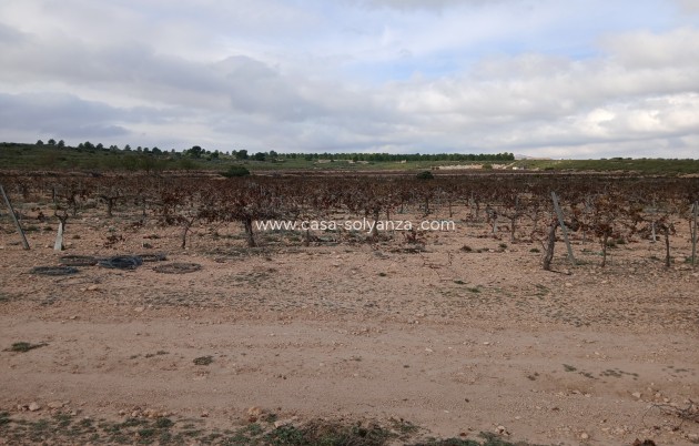 Revente - Land - Yecla - Inland