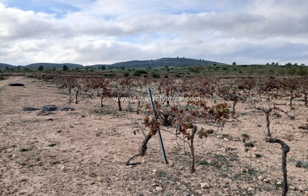 Revente - Land - Yecla - Inland