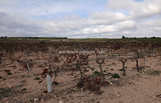 Revente - Land - Yecla - Inland