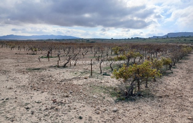 Revente - Land - Yecla - Inland