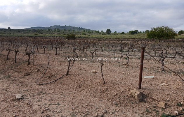 Revente - Land - Yecla - Inland
