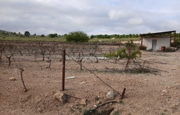 Revente - Land - Yecla - Inland