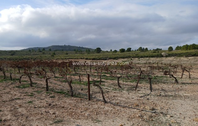 Revente - Land - Yecla - Inland