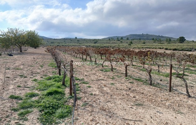 Revente - Land - Yecla - Inland
