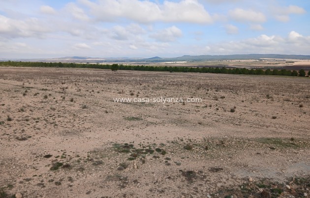 Revente - Land - Yecla - Inland